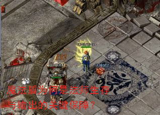魔法盾为何是法师生存与输出的关键保障? 魔法盾为何是法师生存与输出的关键保障?