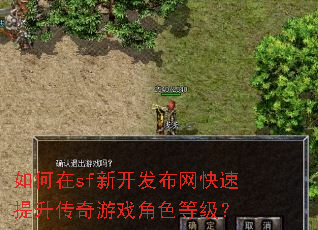 如何在sf新开发布网快速提升传奇游戏角色等级? 如何在sf新开发布网快速提升传奇游戏角色等级?