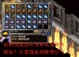 如何快速提升传奇私服角色等级?小宝独家攻略带你飞 如何快速提升传奇私服角色等级?小宝独家攻略带你飞