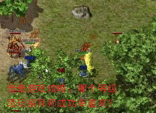 传奇游戏攻略:哪个等级段玩家拜师成功率最高? 传奇游戏攻略:哪个等级段玩家拜师成功率最高?