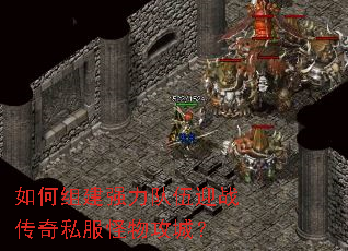 ����齨ǿ������ӭս����˽�����﹥�ǣ�