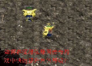 如何在征服私服网传奇游戏中快速提升角色等级? 如何在征服私服网传奇游戏中快速提升角色等级?