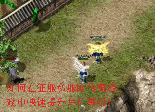 如何在征服私服网传奇游戏中快速提升角色等级? 如何在征服私服网传奇游戏中快速提升角色等级?