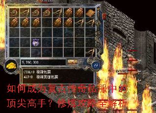 如何成为复古传奇私服中的顶尖高手?修炼攻略全解析 如何成为复古传奇私服中的顶尖高手?修炼攻略全解析