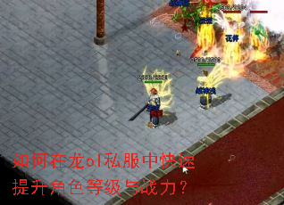 �������ol˽���п���������ɫ�ȼ���ս����
