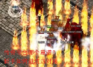 传奇平台哪个靠谱?新手如何避坑选对服 传奇平台哪个靠谱?新手如何避坑选对服