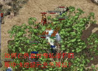 如何在热血传奇私服怀旧服中快速提升角色等级? 如何在热血传奇私服怀旧服中快速提升角色等级?